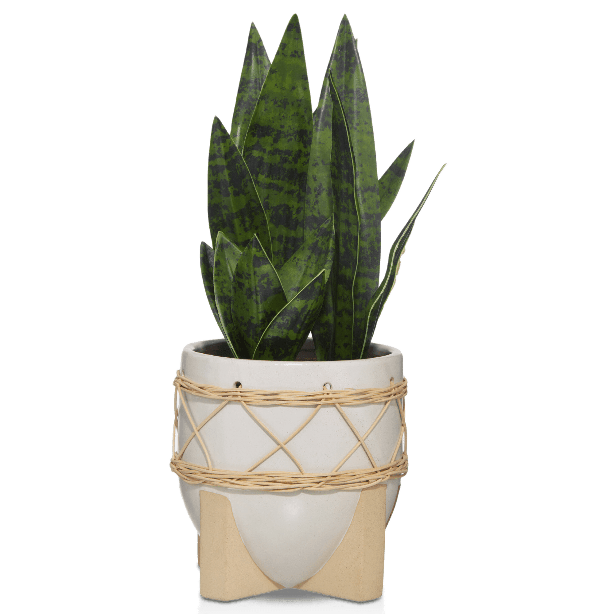 Plante dans un pot en céramique sur pattes de bois