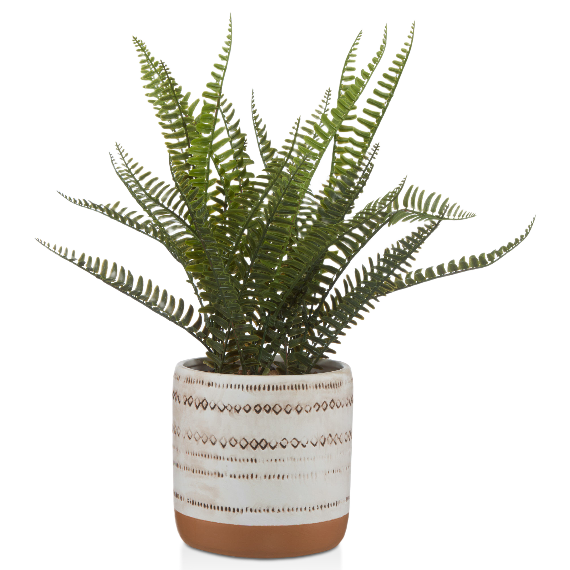 Two-Tone Ceramic Potted Fern