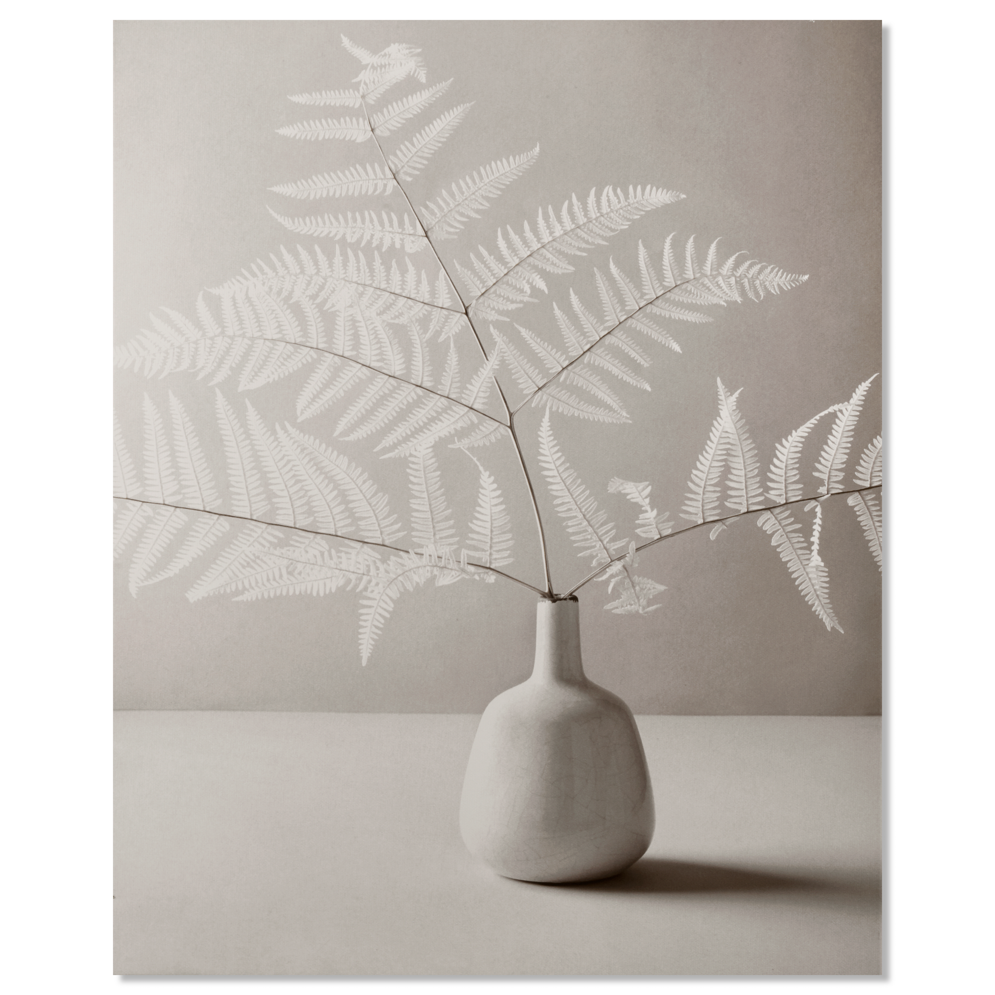 Tableau imprimé d'une fougère blanche dans un vase