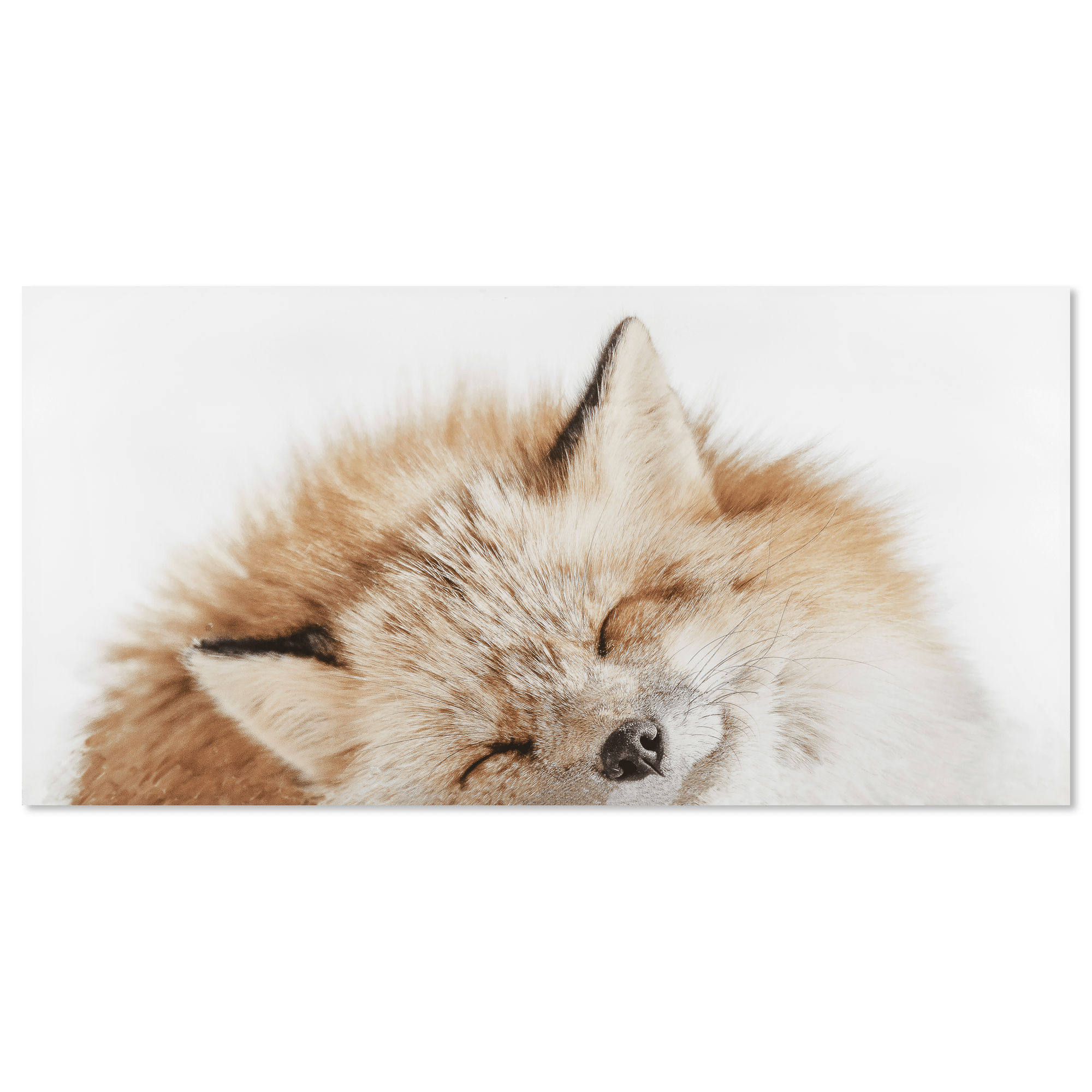 Sleeping Fox Printed Canvas