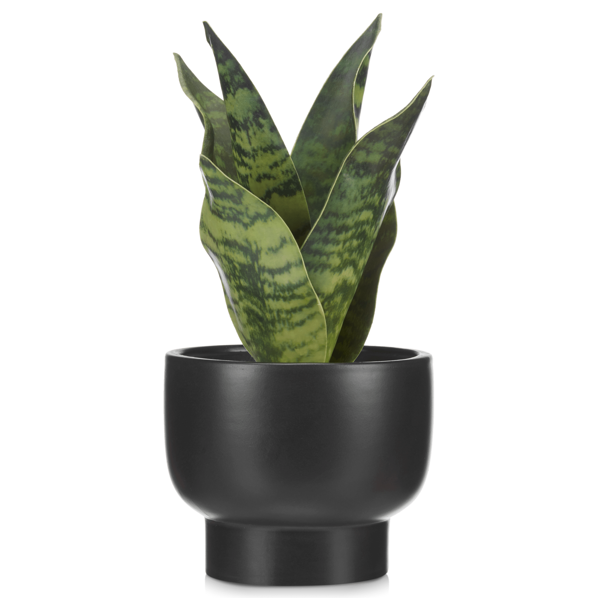 Plante artificielle dans un pot en céramique noir mat