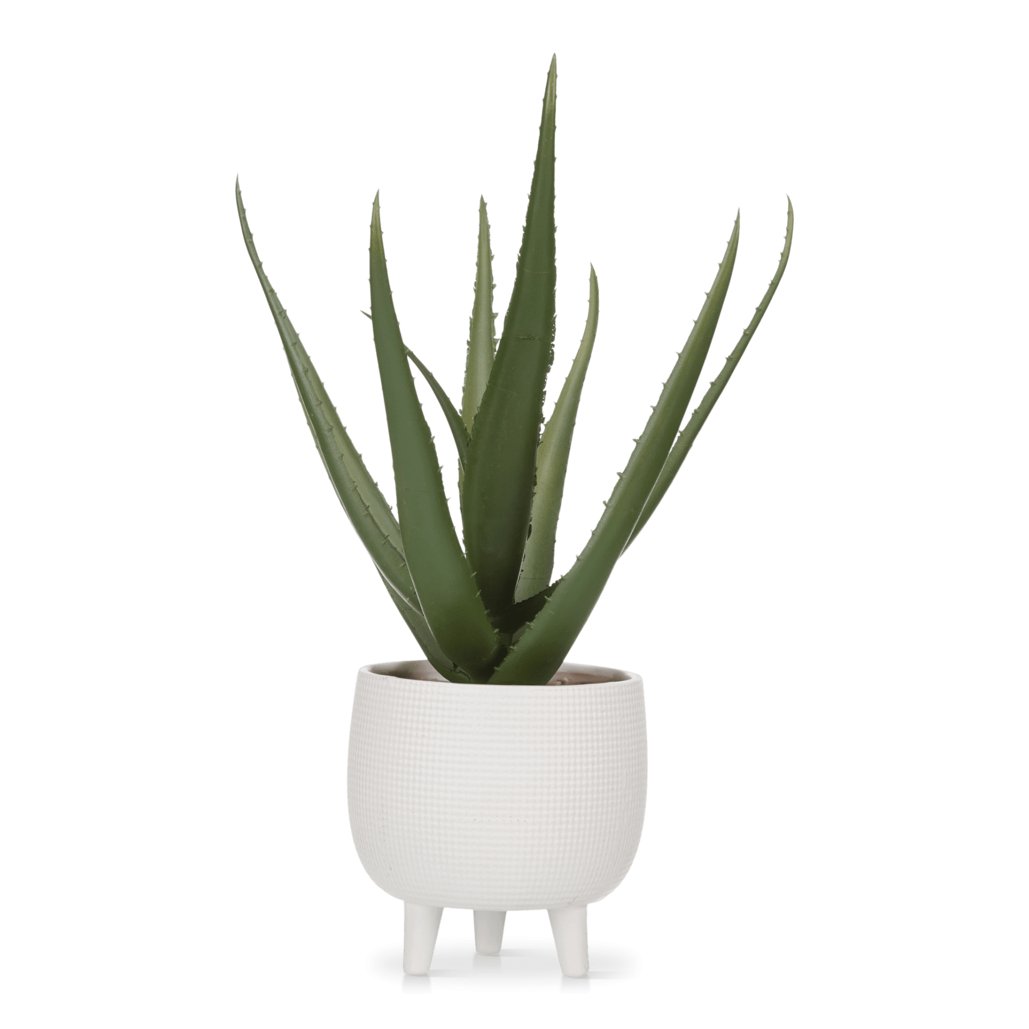 Artificial Aloe In Pot on Stand