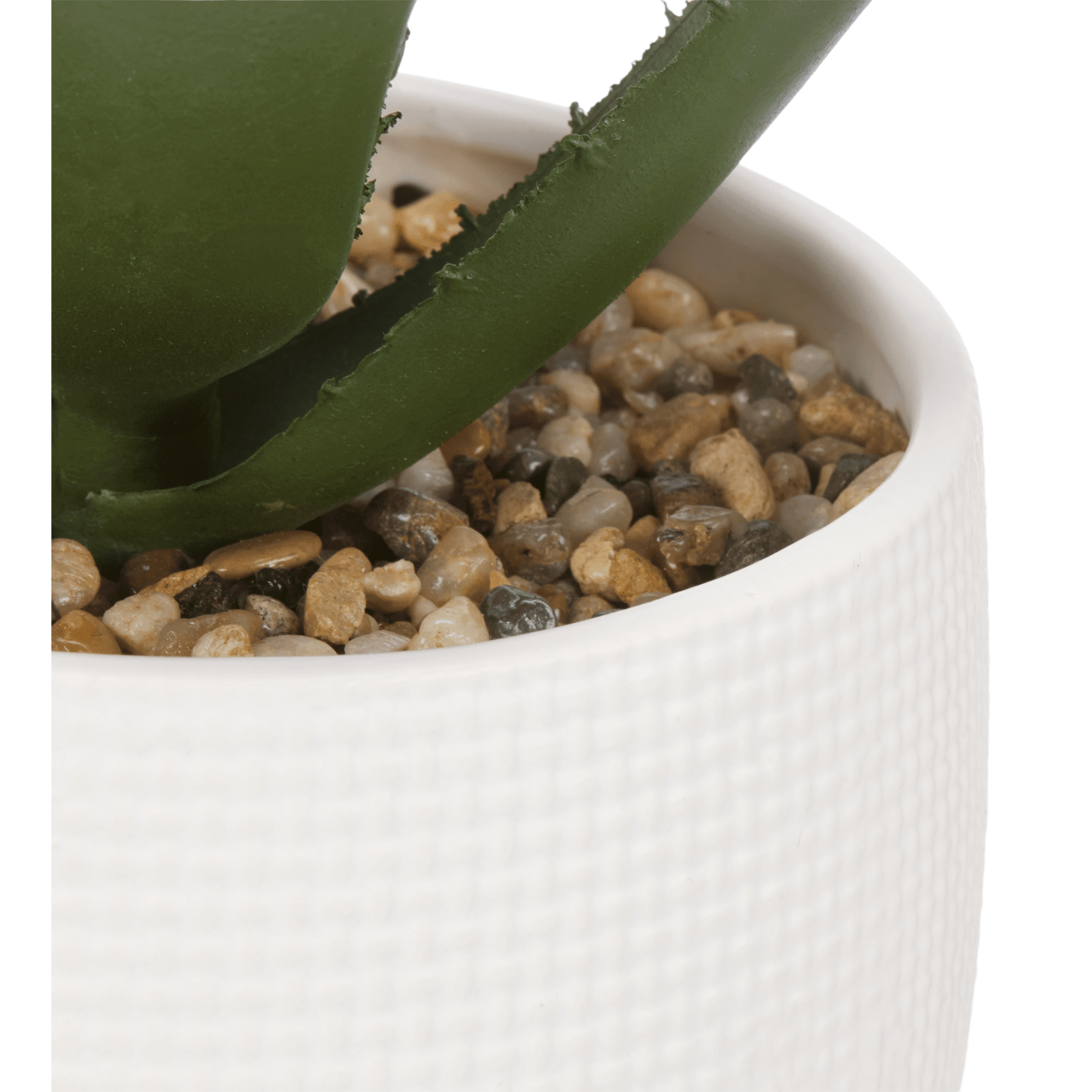 Artificial Aloe In Pot on Stand