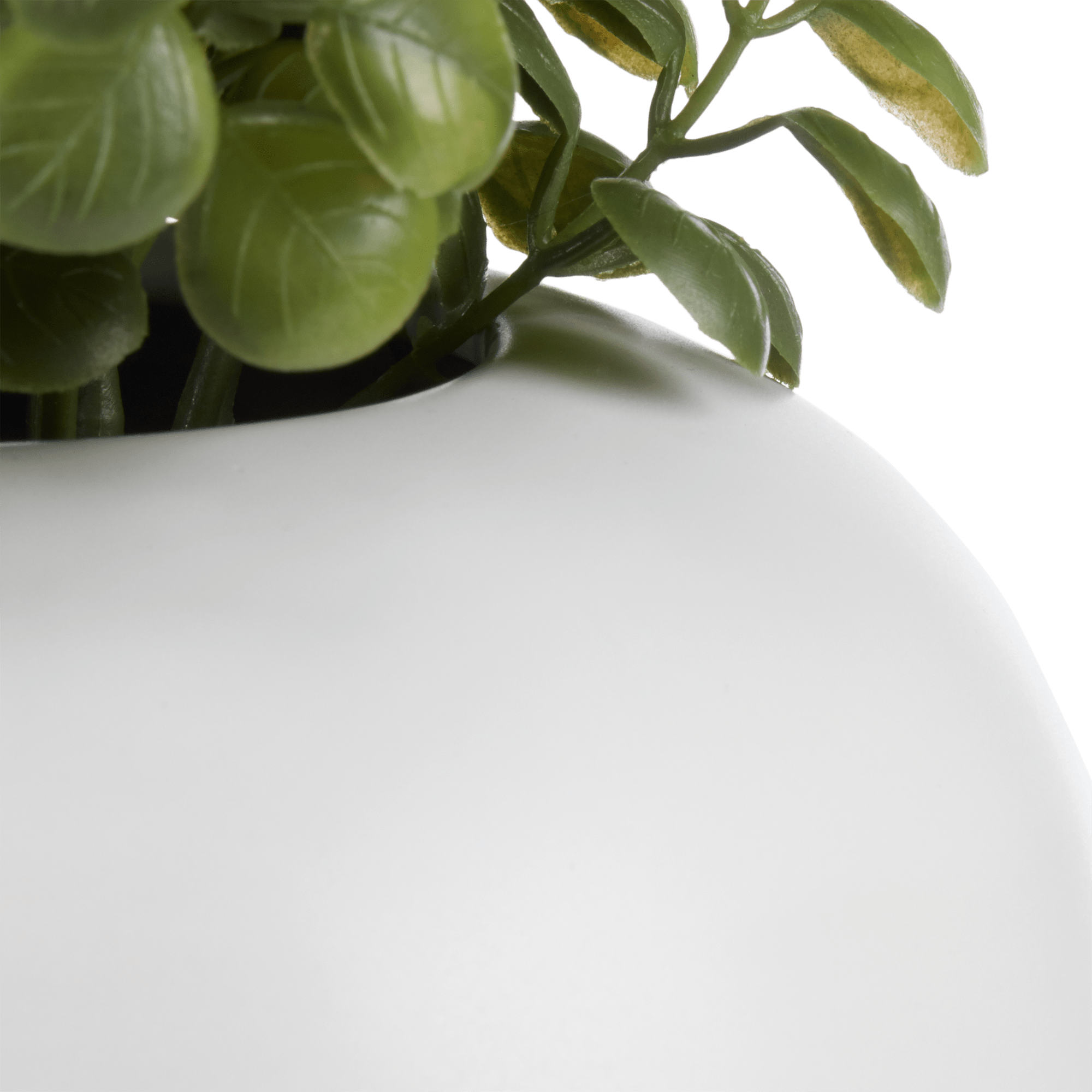 Artificial Eucalyptus in Round White Pot